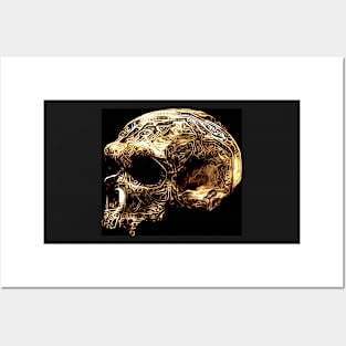 Neanderthal Skull Posters and Art